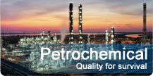 Petrochemical & Pipe